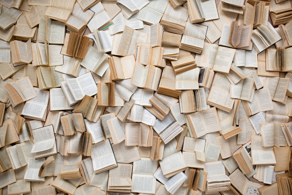 14 Political Books You Should Read This Year